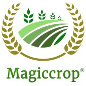 Magiccrop Business Private Limited