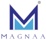 Magnaa Modules & Systems Private Limited