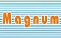 Magnum Telesystem Private Limited