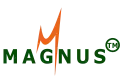 Magnus It Solutions Private Limited