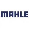 Mahle Anand Filter Systems Private Limited