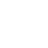 Maillefer Extrusion India Private Limited