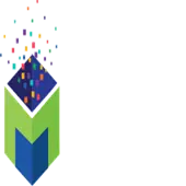 Mantra Vision Private Limited