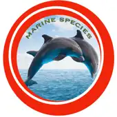 Marine Species Private Limited