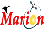 Marion Pharma India Private Limited