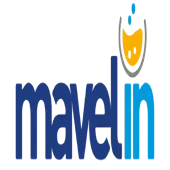 Mavelin Trade And Consultancy Private Limited