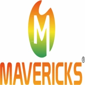 Mavericks Solar Energy Solutions Private Limited