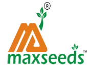Max Agri-Genetics Private Limited