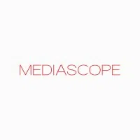 MEDIASCOPE REPRESENTATION (INDIA) LLP