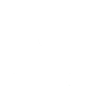 Medwise Overseas Private Limited
