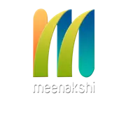 Meenakshi Networks Private Limited