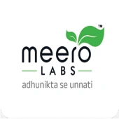 Meero Digital Labs Private Limited