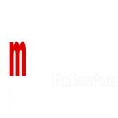 Megaspace It Solutions Private Limited