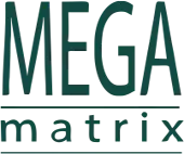Mega Matrix Private Limited