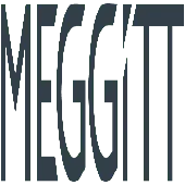 Meggitt India Private Limited