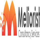 Meliorist Consultancy Services Private Limited