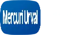 Mercuri Urval Business Consulting Private Limited