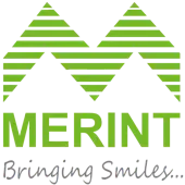 Merint Industrial Infrastructure Private Limited