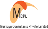 Meshayu Consultants Private Limited