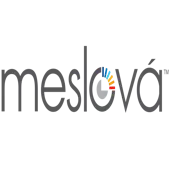 Meslova Systems Private Limited