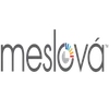 Meslova Systems Private Limited