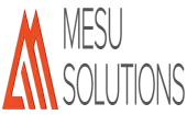 Mesu Solutions Private Limited