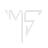 Metaspace Technologies Private Limited