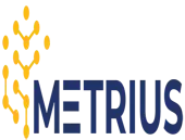 Metriusglobal Business Services Private Limited
