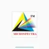 Microspectra Software Technologies Private Limited