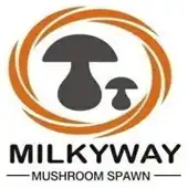 Milkyway Technologies Limited