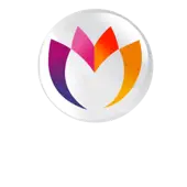 Millennium Stock Broking Private Limited