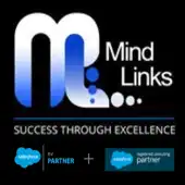 Mindlinks Solution India Private Limited