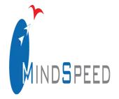 Mind Speed Integrated Solutions Private Limited