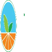 Minsan Chemtek India Private Limited
