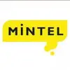 Mintel (Consulting) India Private Limited