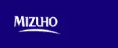 Mizuho Securities India Private Limited