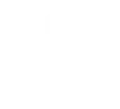Mobisec Technologies Private Limited
