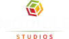 Modicle Studios Private Limited
