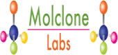 Molclone Labs Private Limited