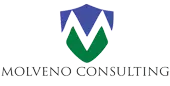 Molveno Consulting Private Limited