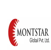 Montstar Global Private Limited