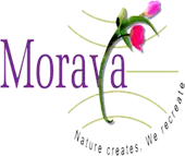 Moraya Global Limited