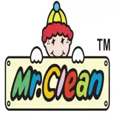 Mr. Clean Colors (India) Private Limited