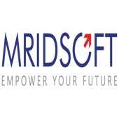 Mridsoft Solutions Private Limited
