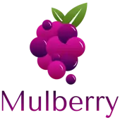 Mulberry Solutions Llp