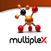 Multiplex Infotech Private Limited