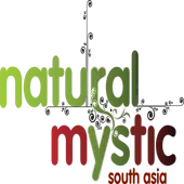 Mystic Expeditions And Tours Private Limited
