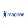 Magnes Management Consultants Private Limited