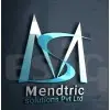 Mendtric Solutions Private Limited
