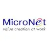 Micronet Technicks (India) Private Limited